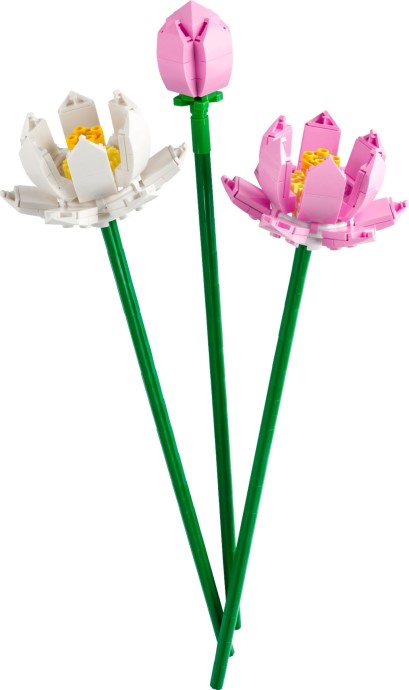 LEGO Lotusbloemen (40647)