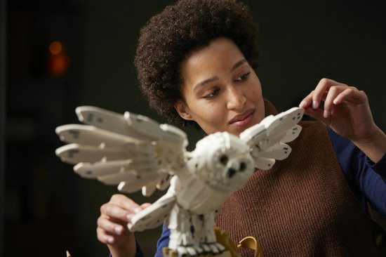 LEGO Harry Potter Zweinstein™ Iconen - verzamelobjecten - 76391