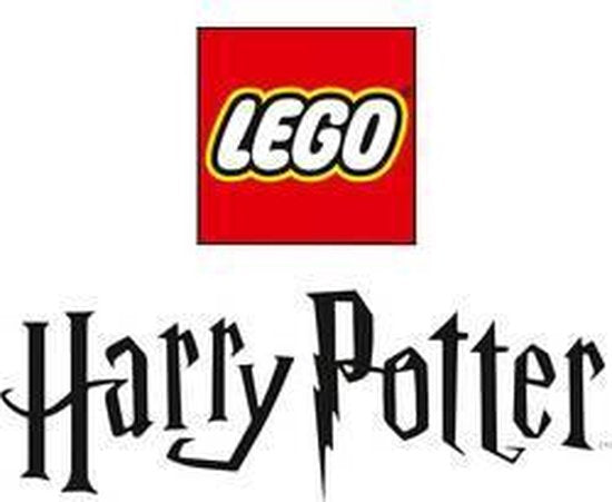 LEGO Harry Potter Zweinstein™ Moment: Toverdrankenles 76383